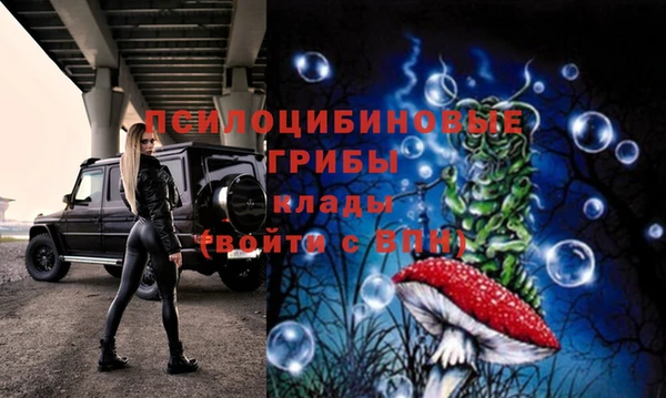 прущая мука Костерёво