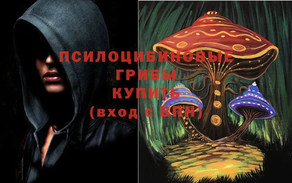 прущая мука Костерёво