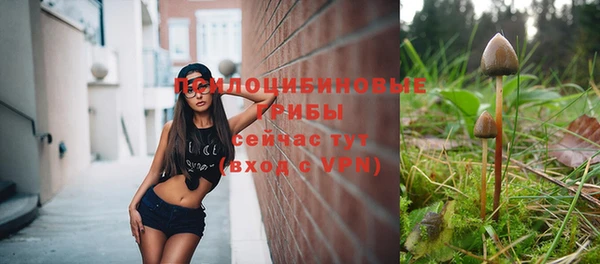 прущая мука Костерёво