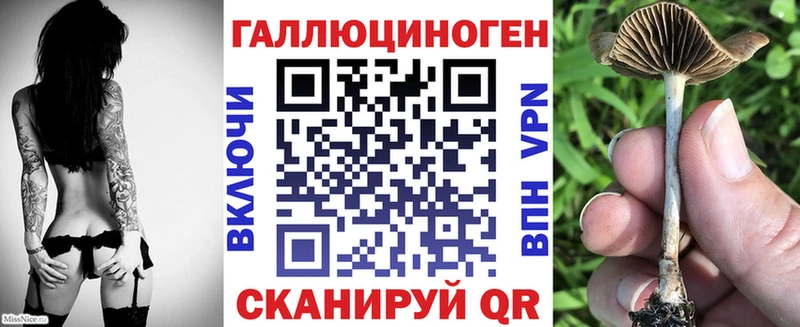 Псилоцибиновые грибы GOLDEN TEACHER  Морозовск 