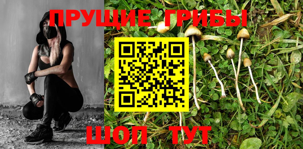 Псилоцибиновые грибы Magic Shrooms Морозовск